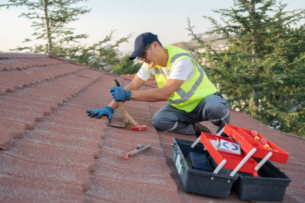 Best Roof Restoration Services  in Oquawka, IL