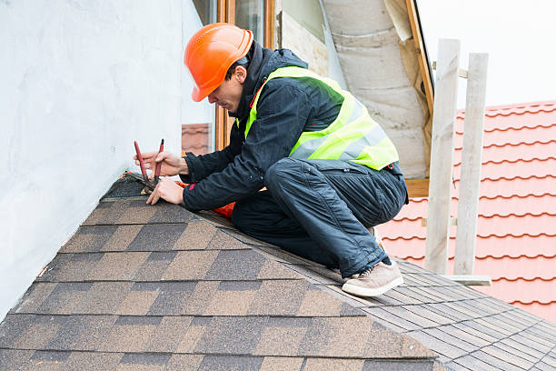 Best Roof Gutter Cleaning  in Oquawka, IL
