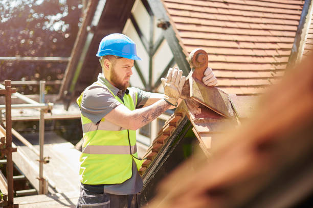Best Best Roofing Contractors  in Oquawka, IL